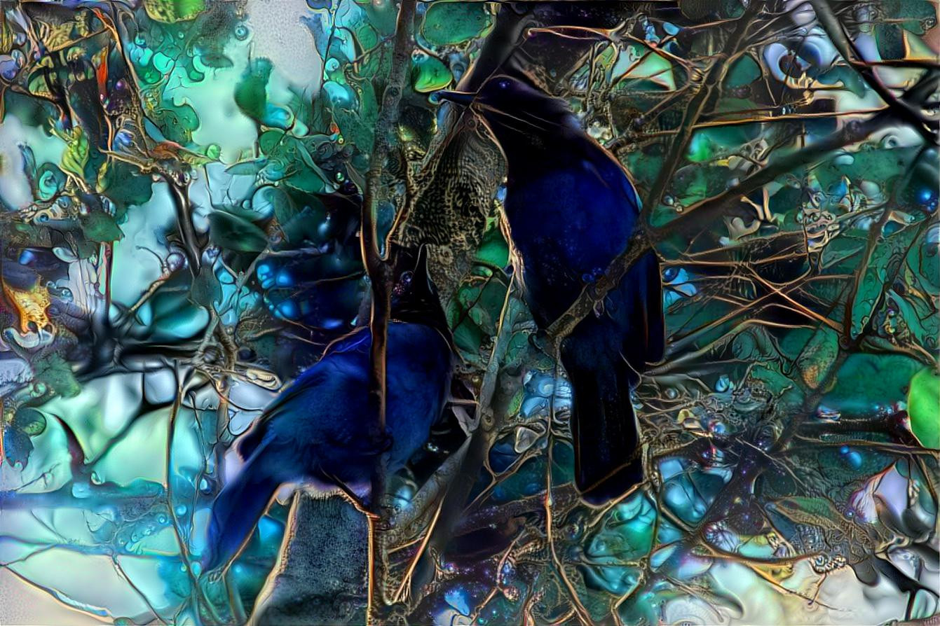 Two blue birds inna tree