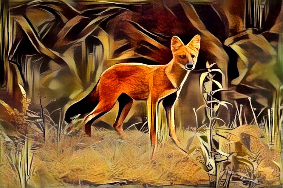 fox