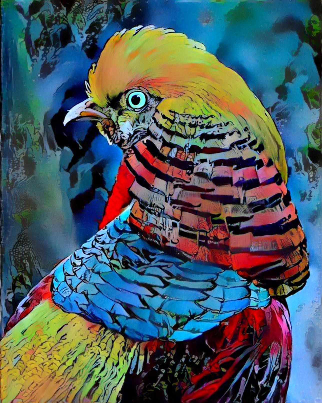 Golden Pheasant (recolored) 