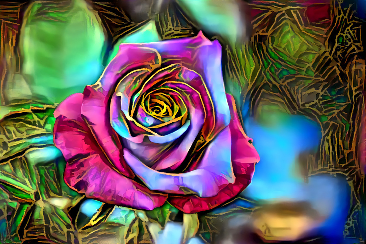 Rose Bud Bloom