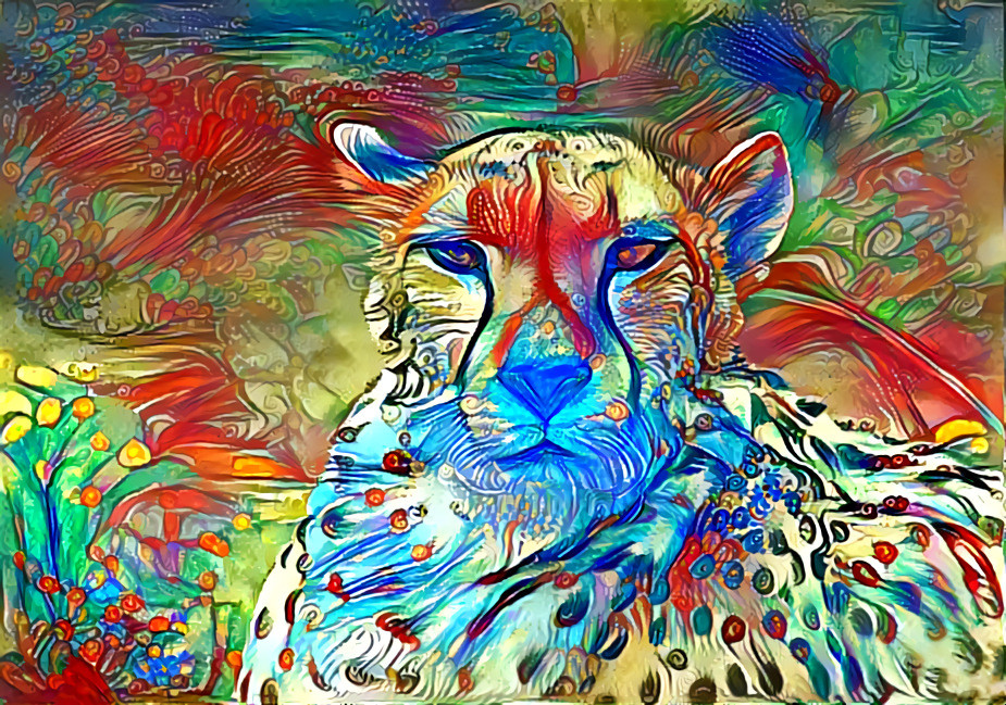 Cheetah 4