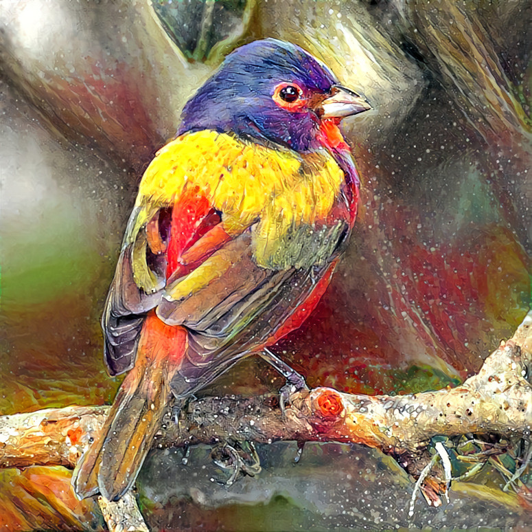 PAINTED BUNTING