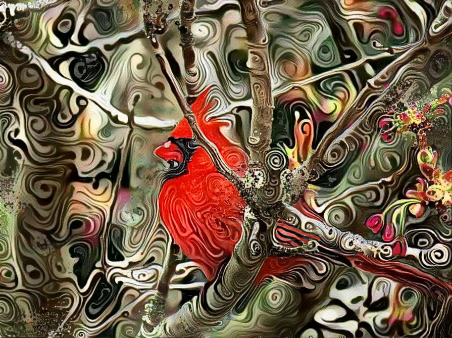 Cardinal Perched in Flowering Tree