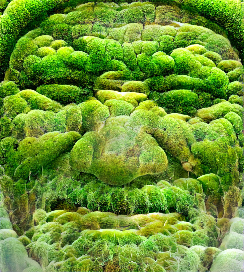 Moss Man - DWP Style Collage