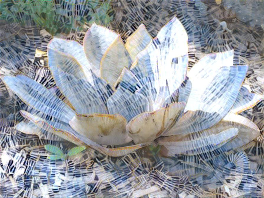 succulent mosaic