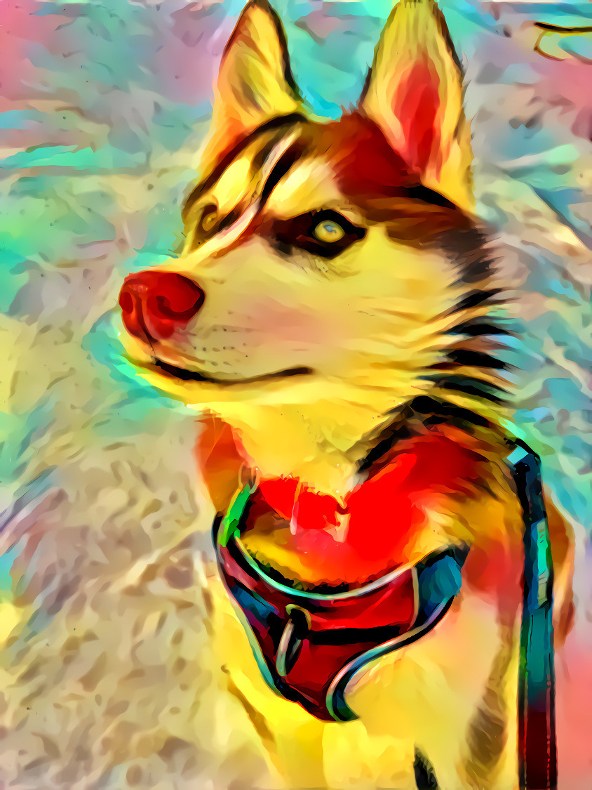 Anime doggo