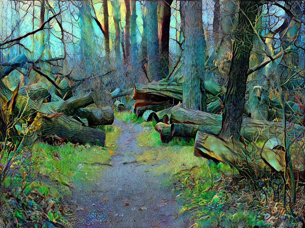 Walk in the Woods