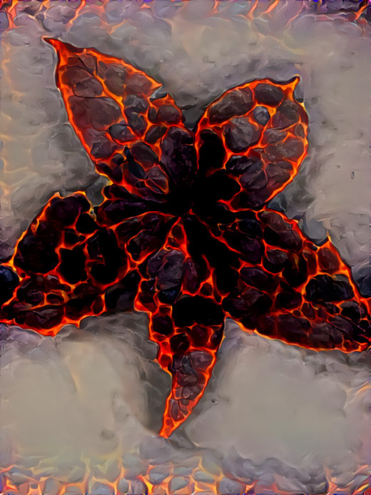 Heiße Lava Blume - hot lava flower