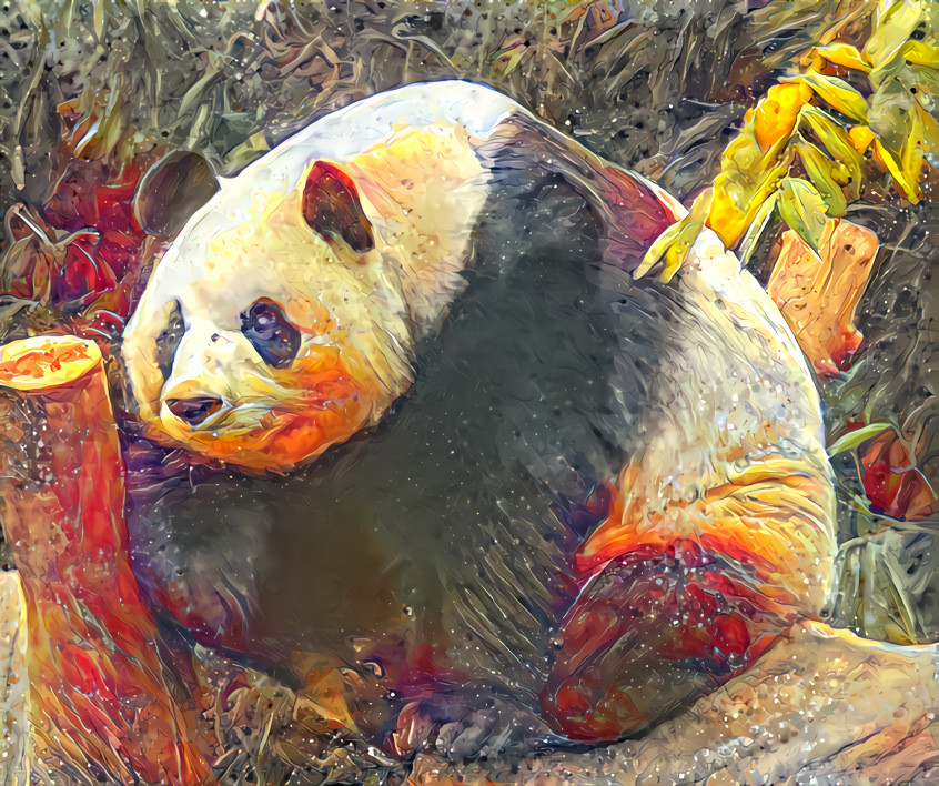 Panda