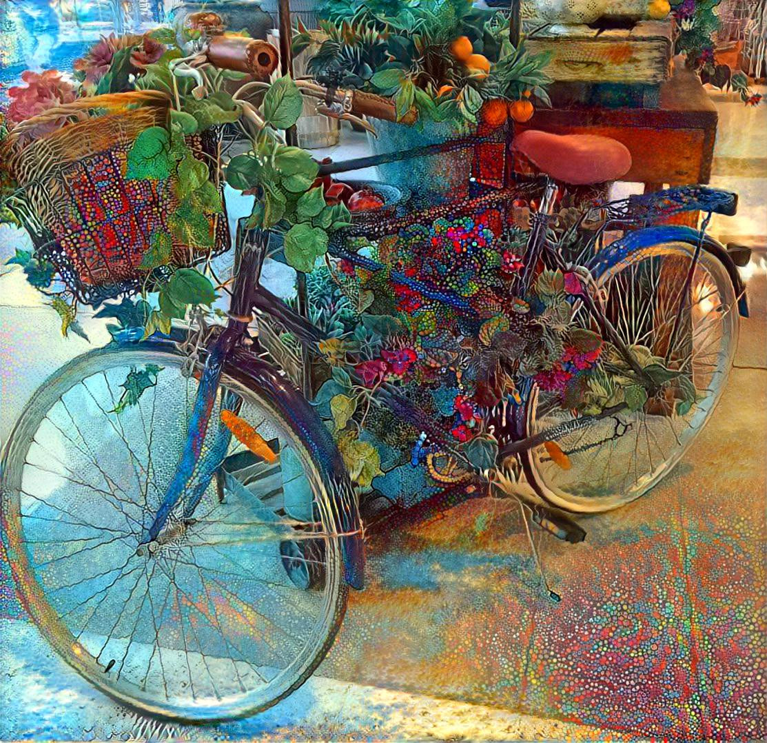 Blooming Bicycle