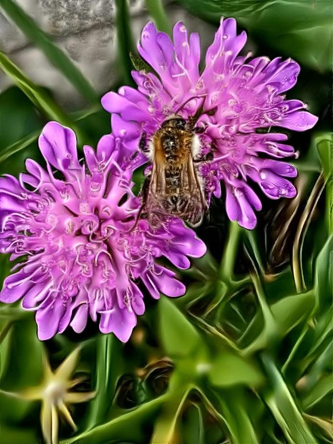 Bee