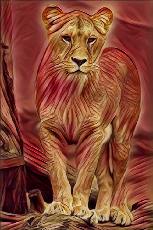 Lioness 