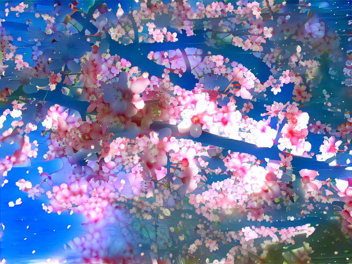 Cherry blossoms 1 sakura-4268915_1280