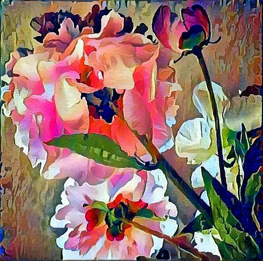 Peonies 