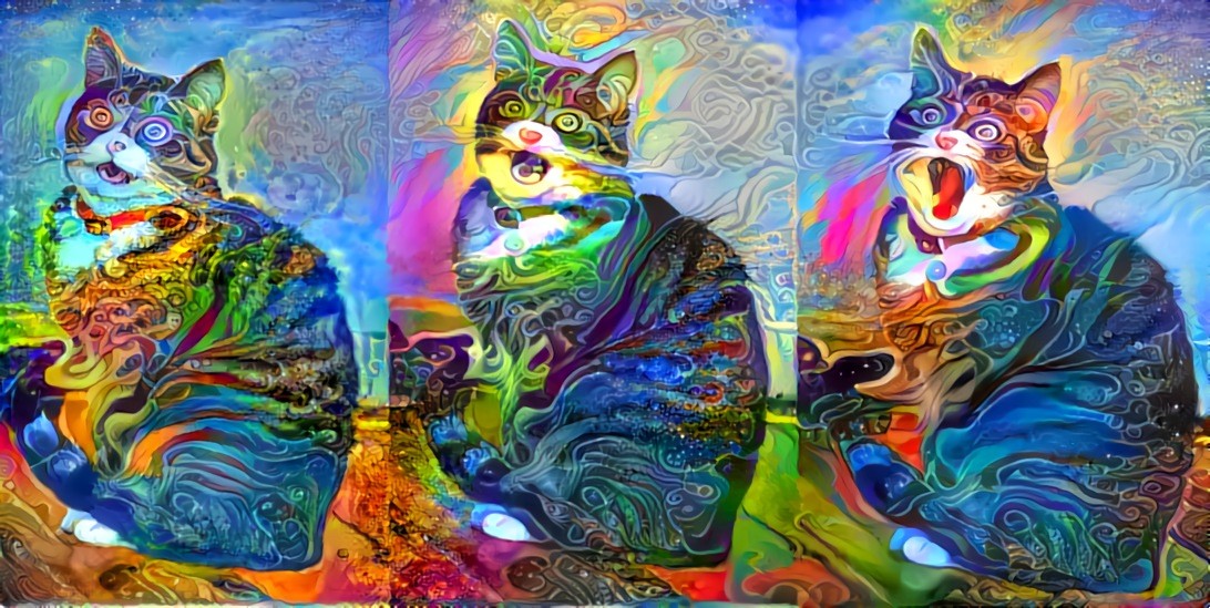 Cat Tripping 3