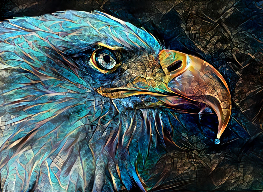 Cheyenne the bald eagle