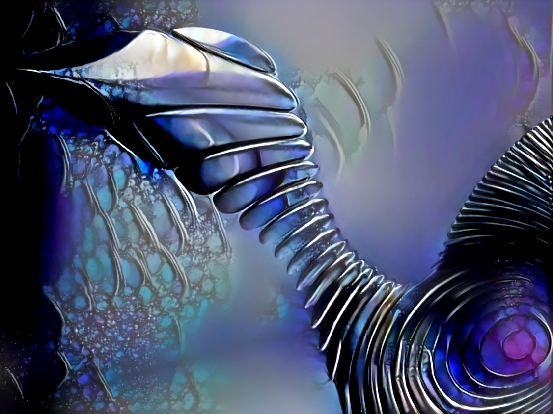 Fractal Swan