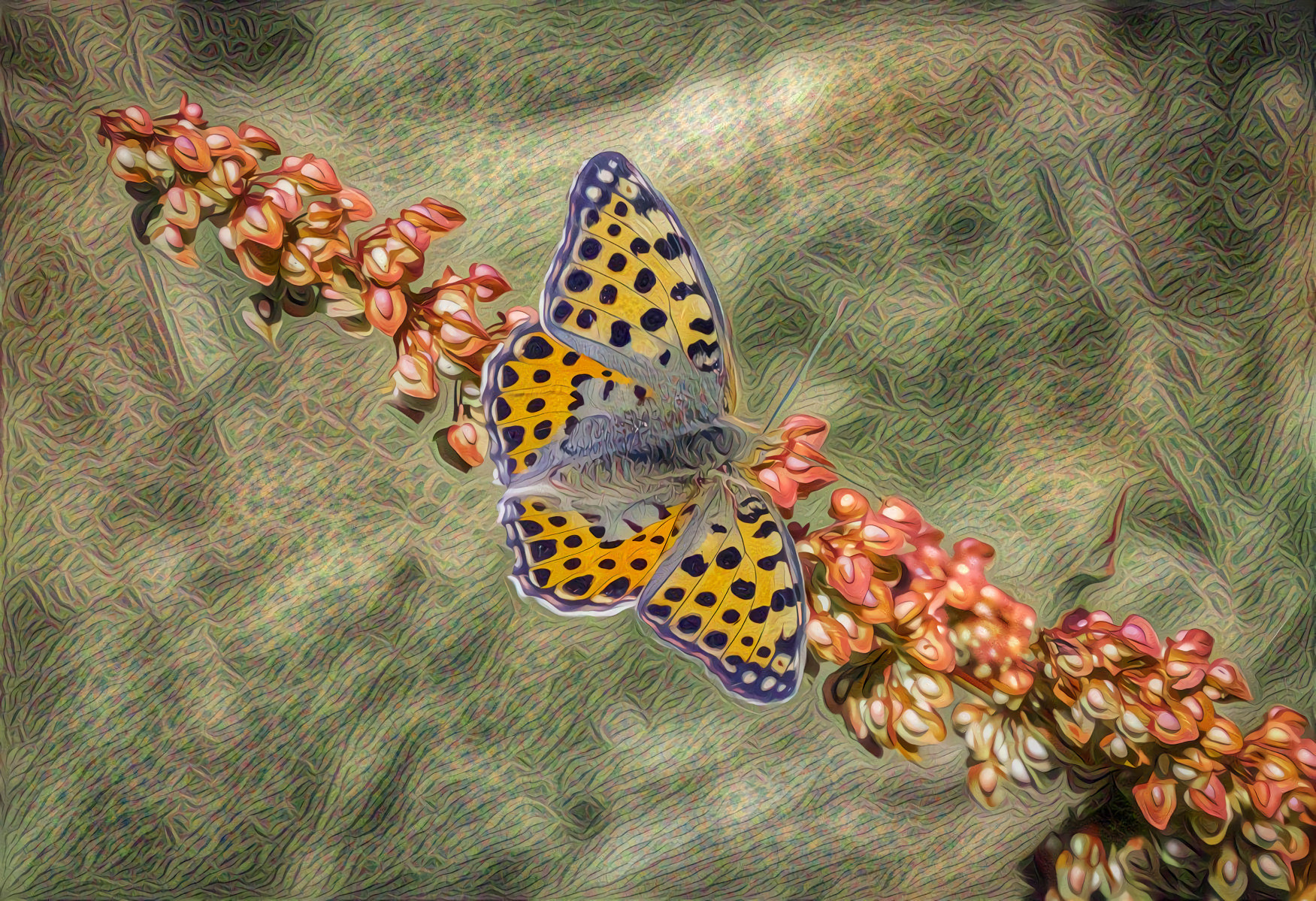 Butterfly on a Spring Branch