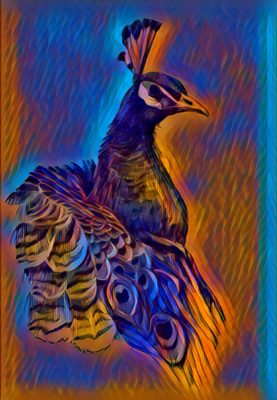 Peacock