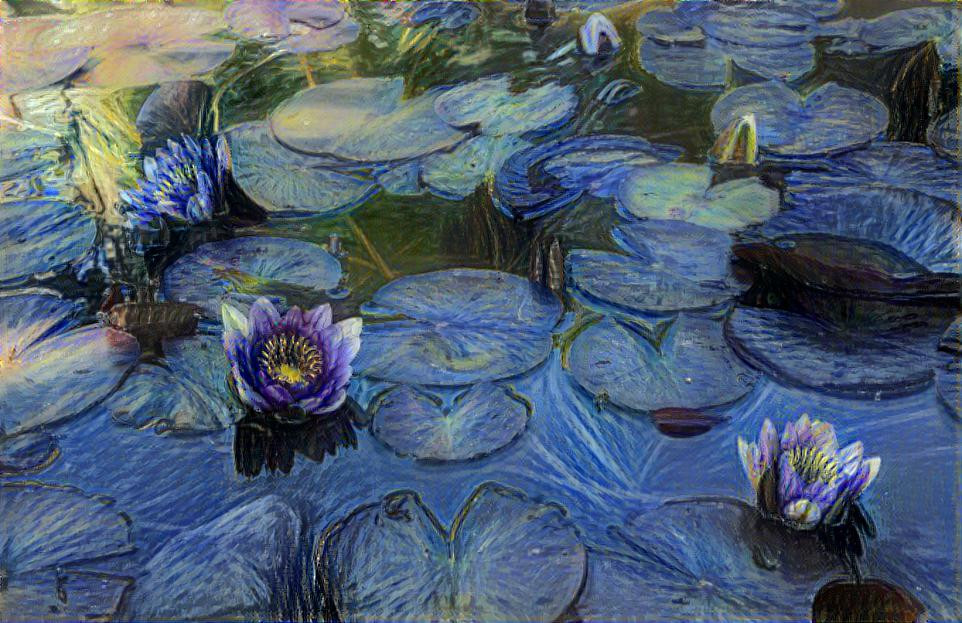 Waterlilies