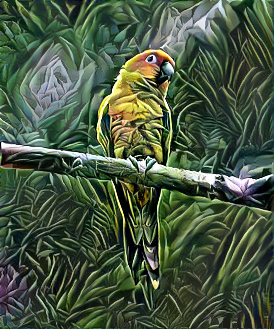 parrot on branch