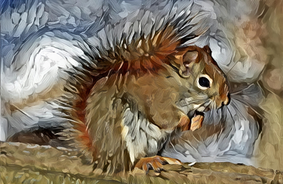 Squirrel 