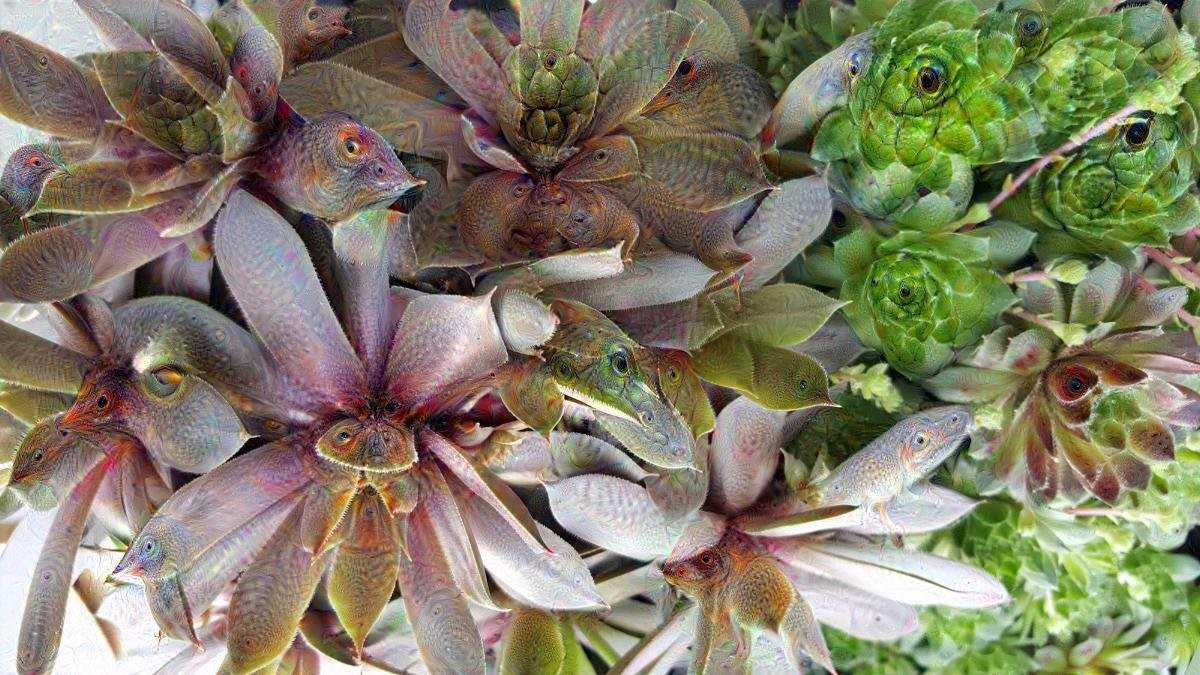 Savage Succulents 