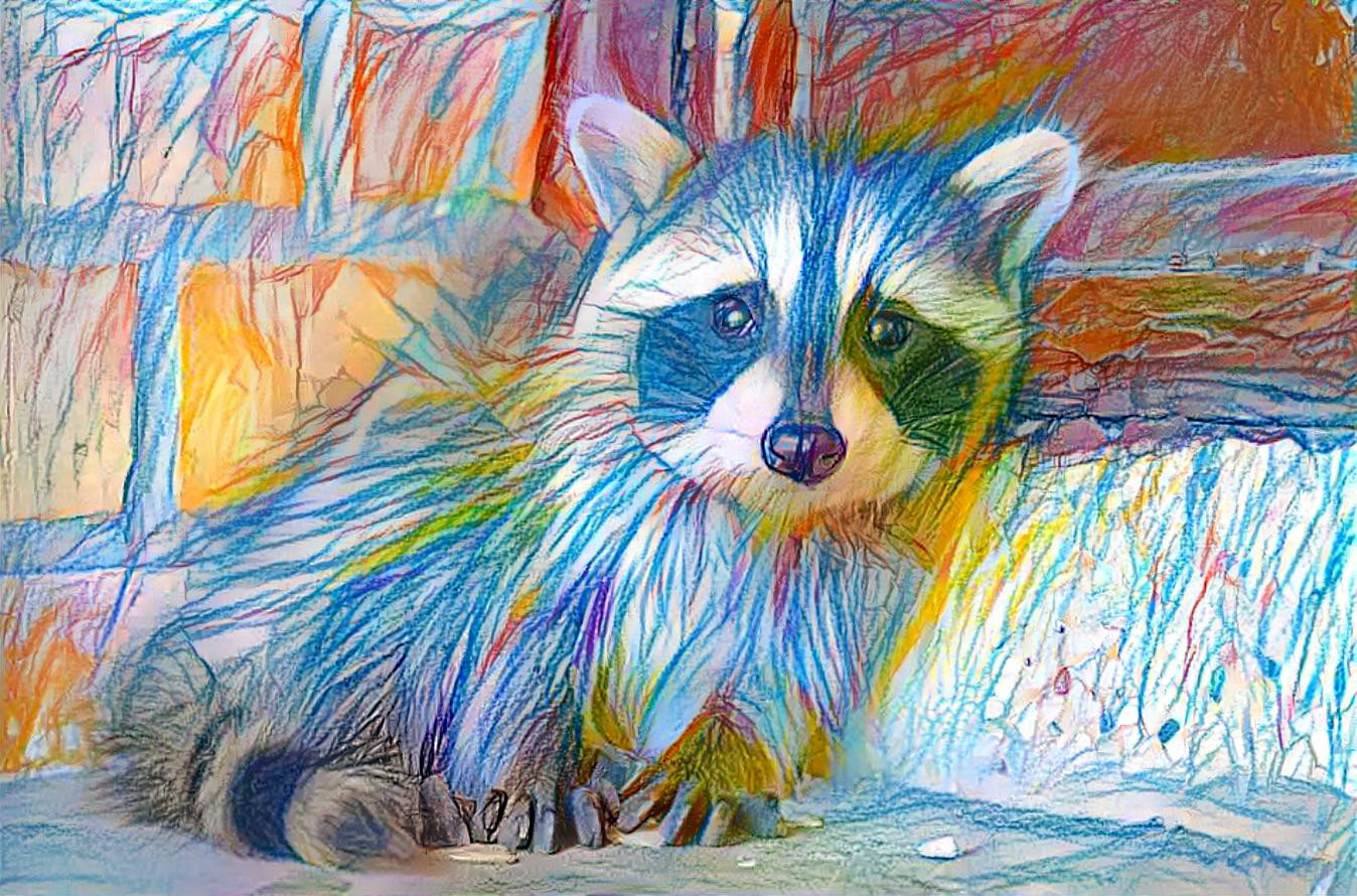 Raccoon