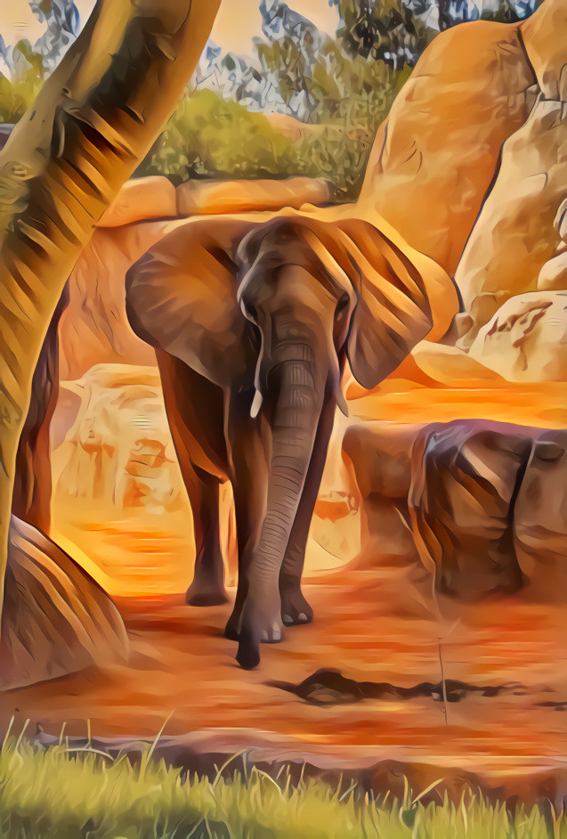 Elephant