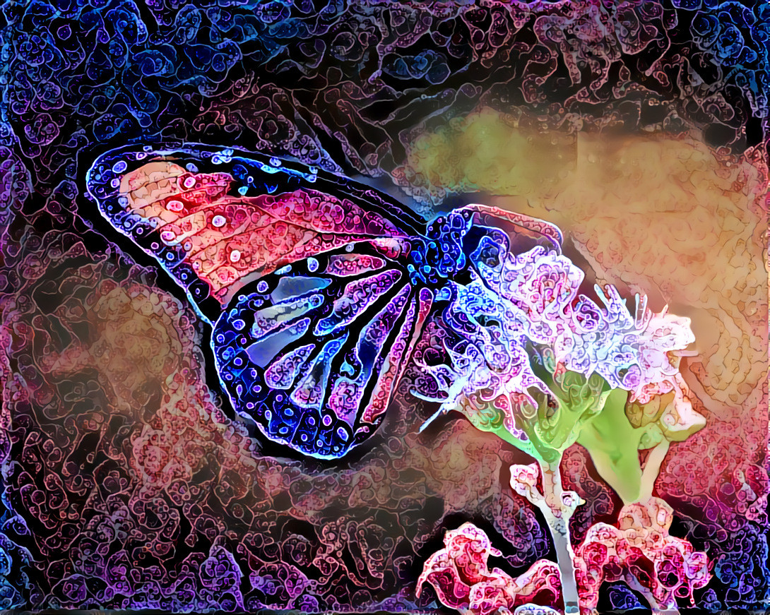 Butterfly dream1