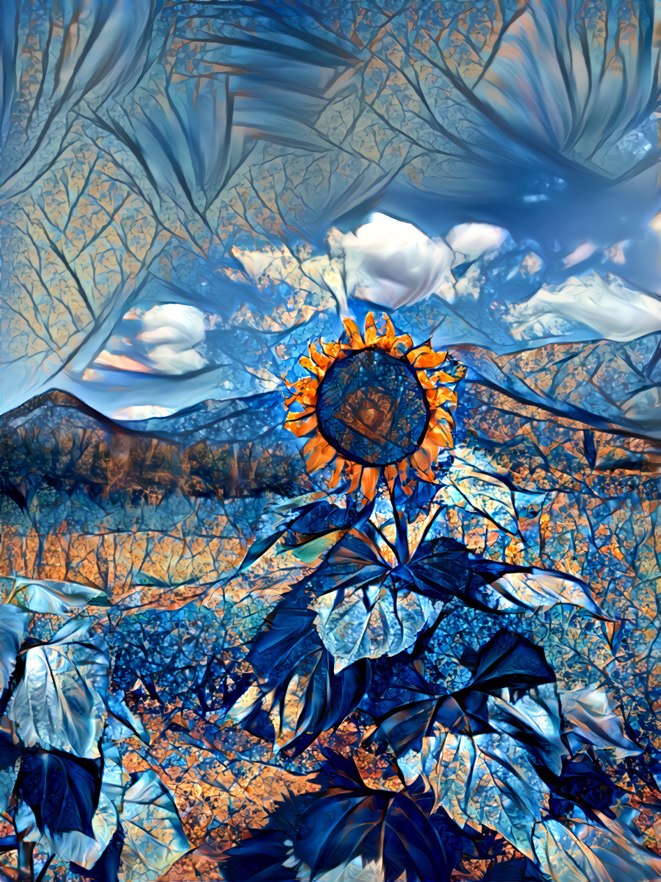 FractalSunFlower