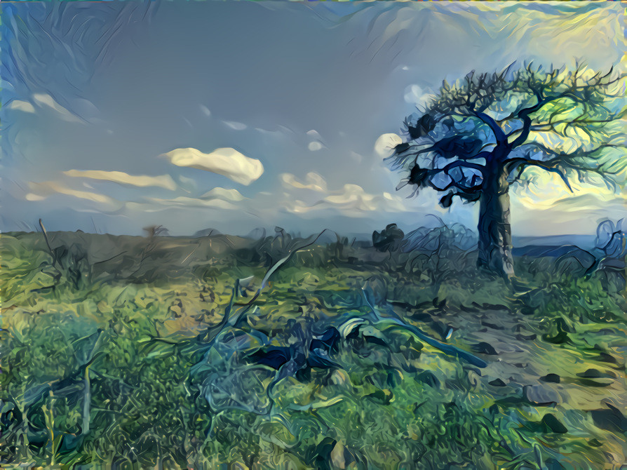 Post-Impressionist Era - Lone Baobab Tree