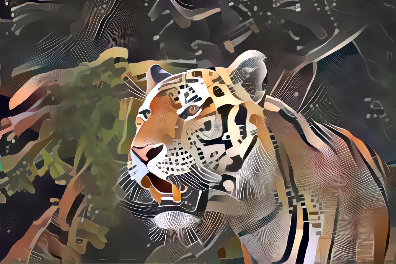 Tiger (curves and nodes 2/2)