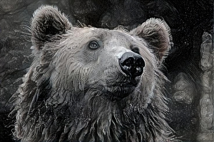 Bear