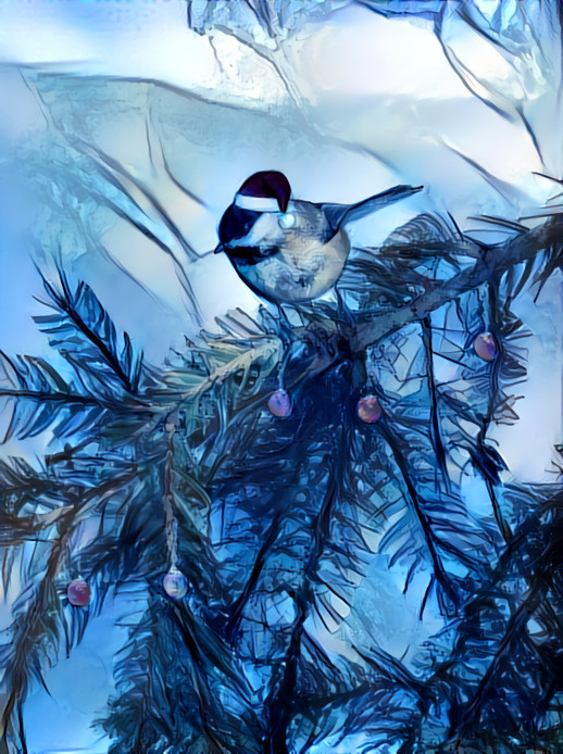 Chickadee on a Fir tree