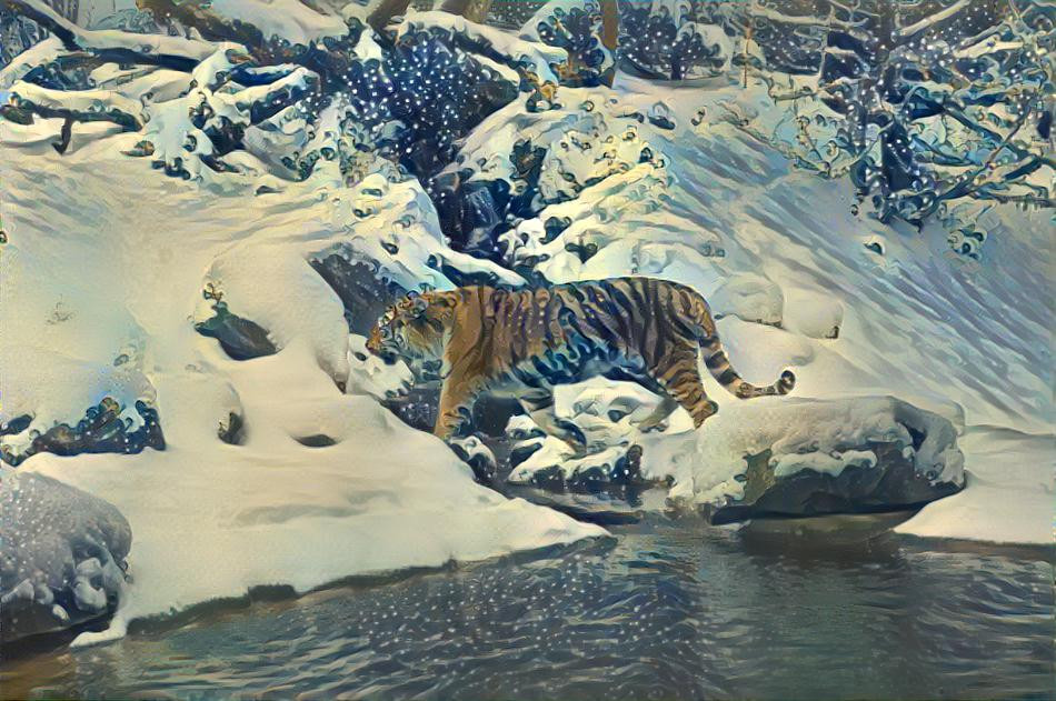 Tiger in the snow