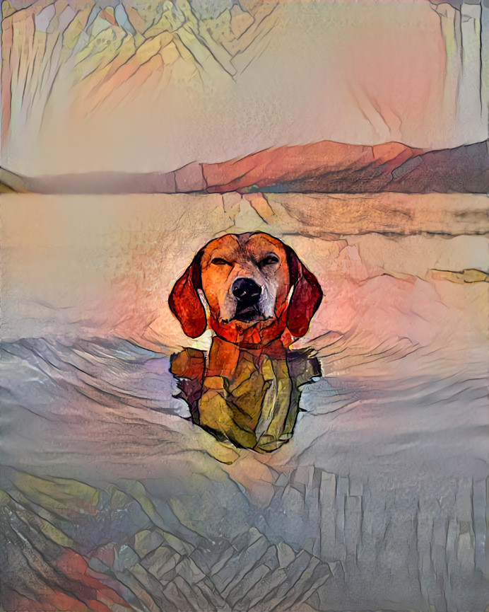 Dog in the Lake