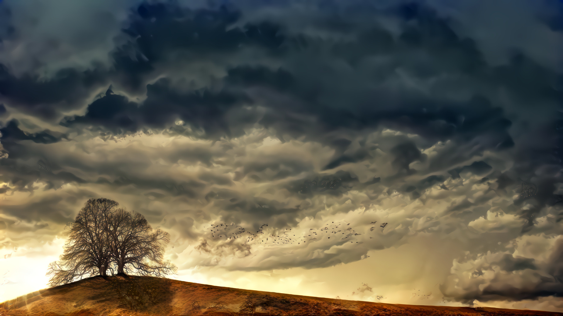 Trees, Dark Clouds, Bird Flocks