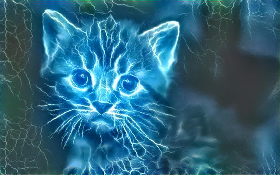 Thunder cat