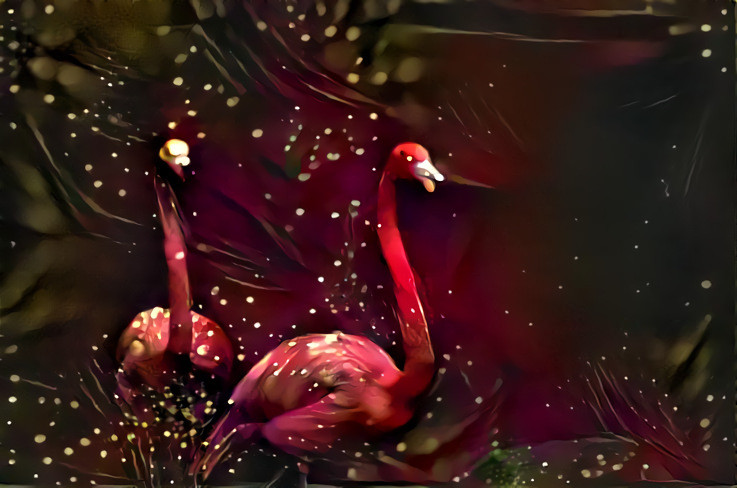 Volcano flamingos