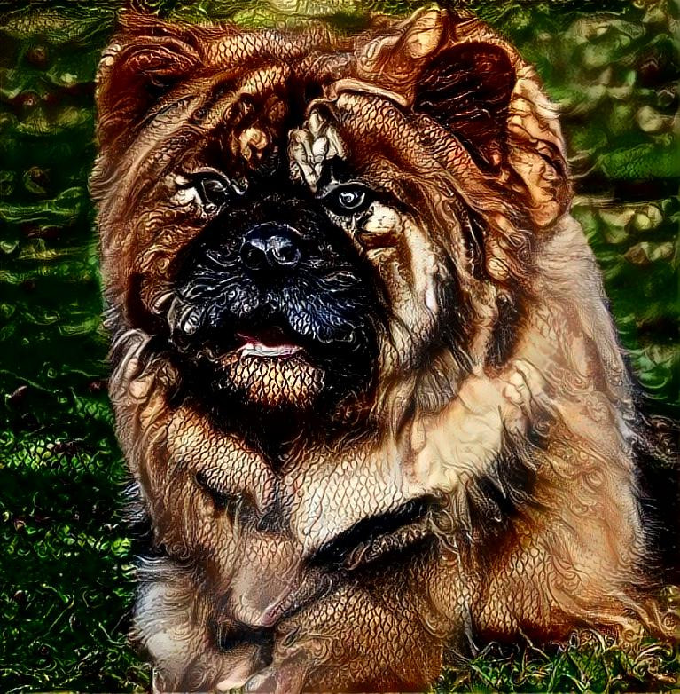 Dog Created @ Artbreeder