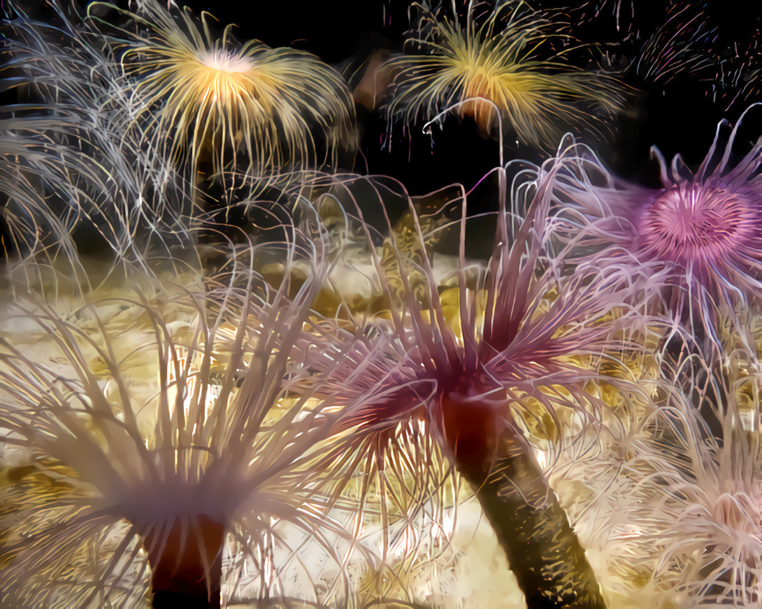 Anemones Dancing