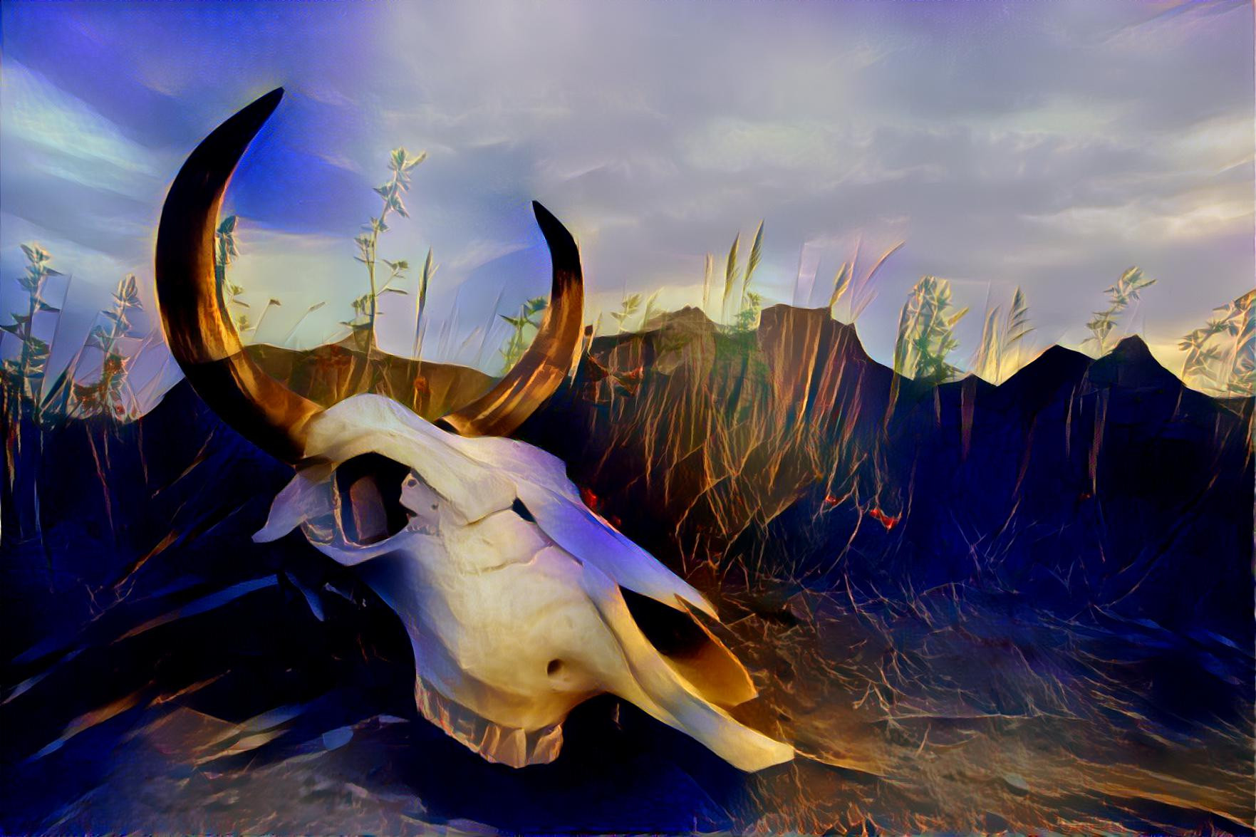 Desert Skull