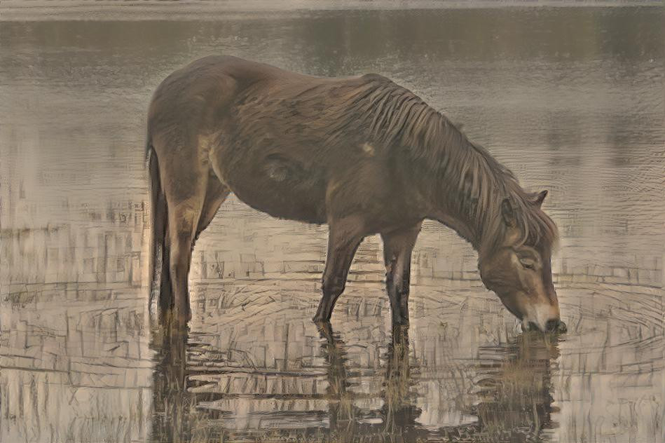 Horse in a lake