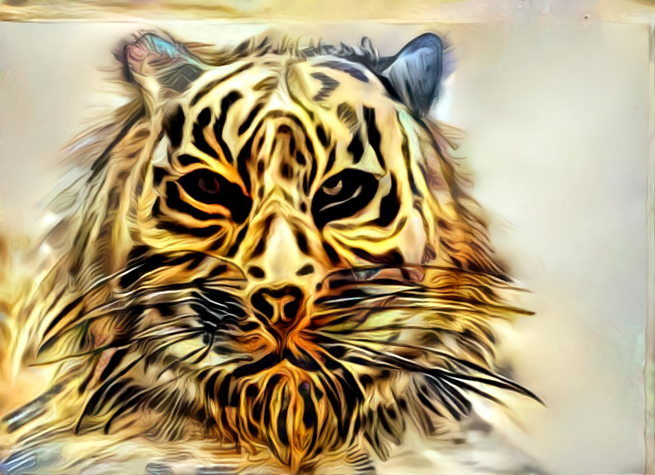 Yellow Tiger 