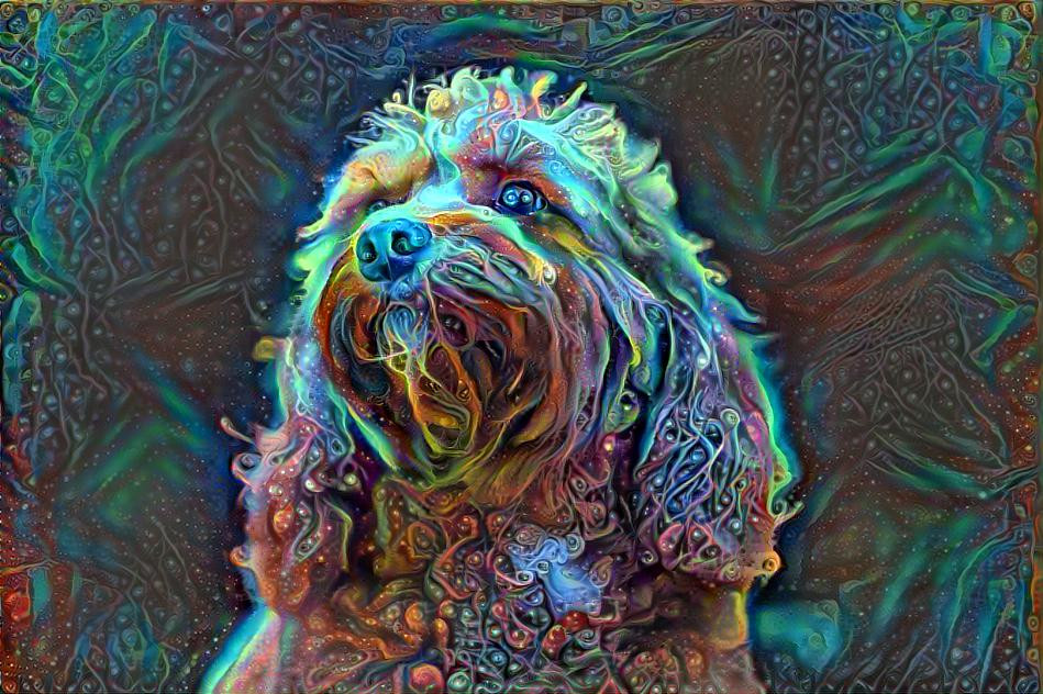 Cosmic Dog