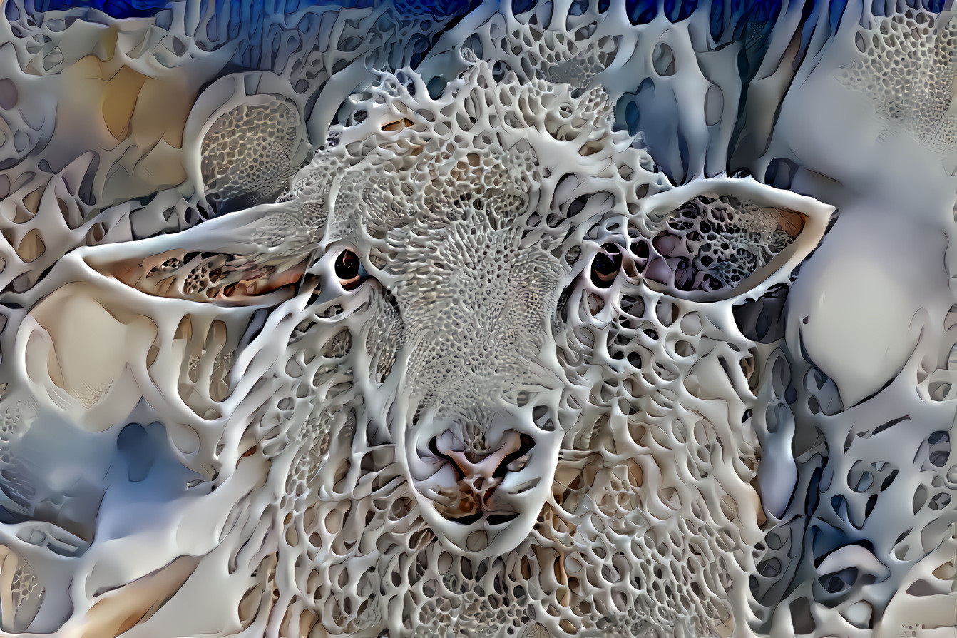 Deep Sheep 23