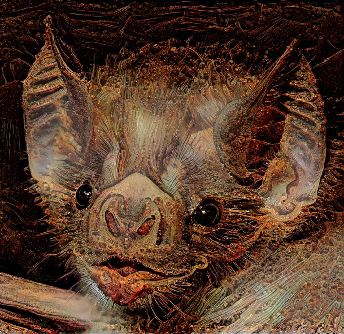 Bat (it's a bat)