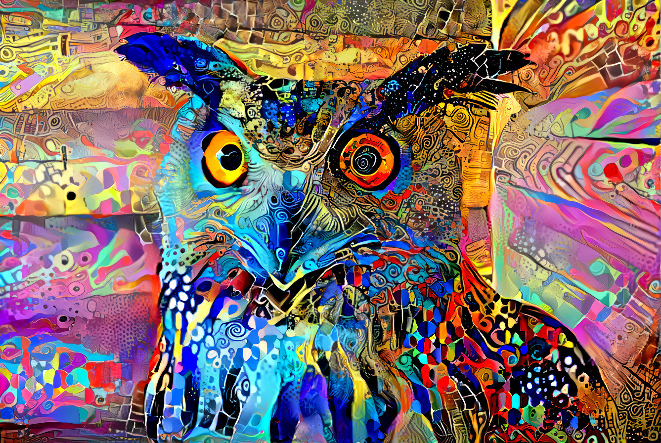 Owl