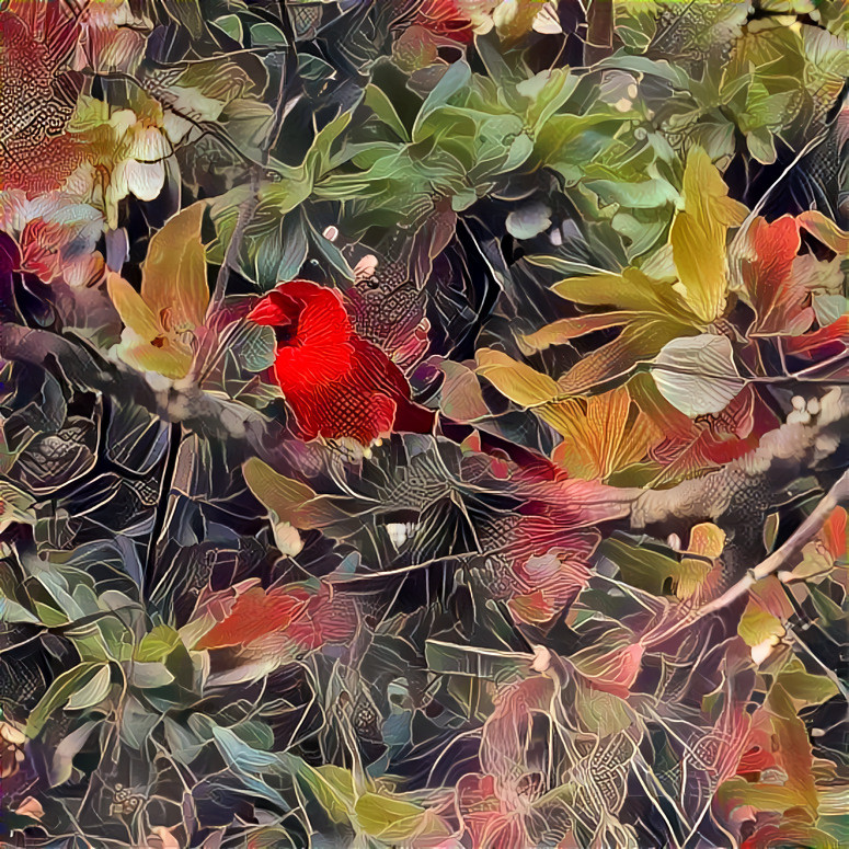 Cardinal in the tree top